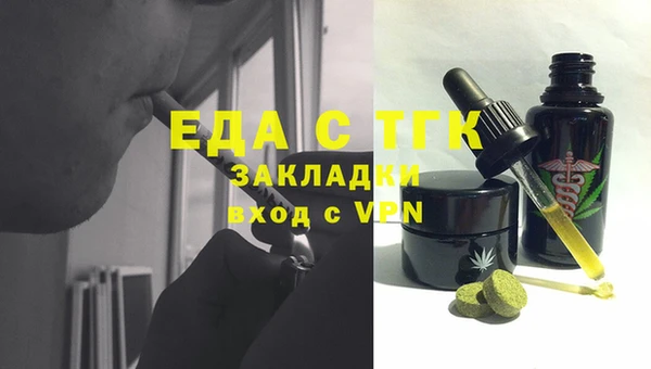 МДПВ Бородино