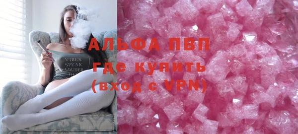 МДПВ Бородино