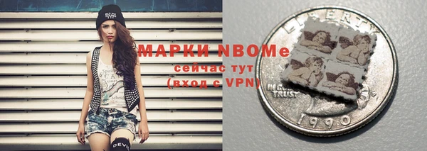 МДПВ Бородино